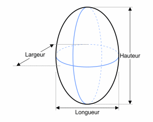 Ellipsoïde verticale